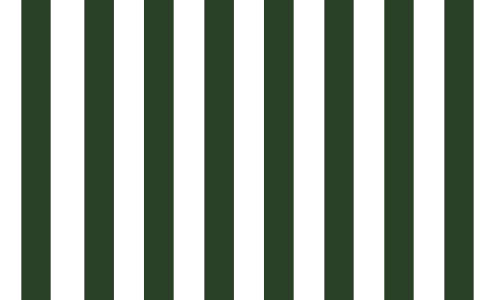 Green & White 412101 fabric swatch